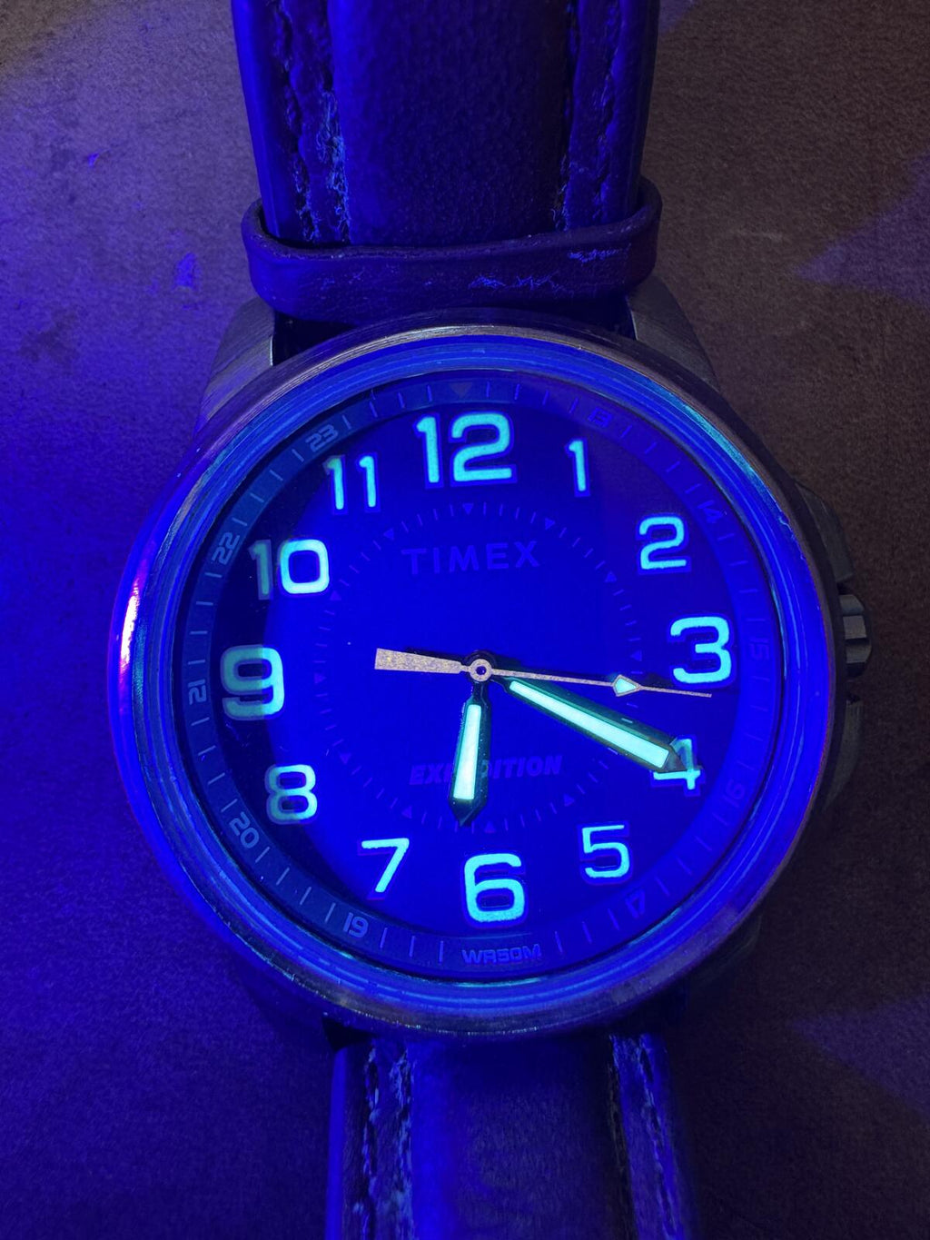 Timex Expedition TW4B16000 Blue Dial Field Watch
