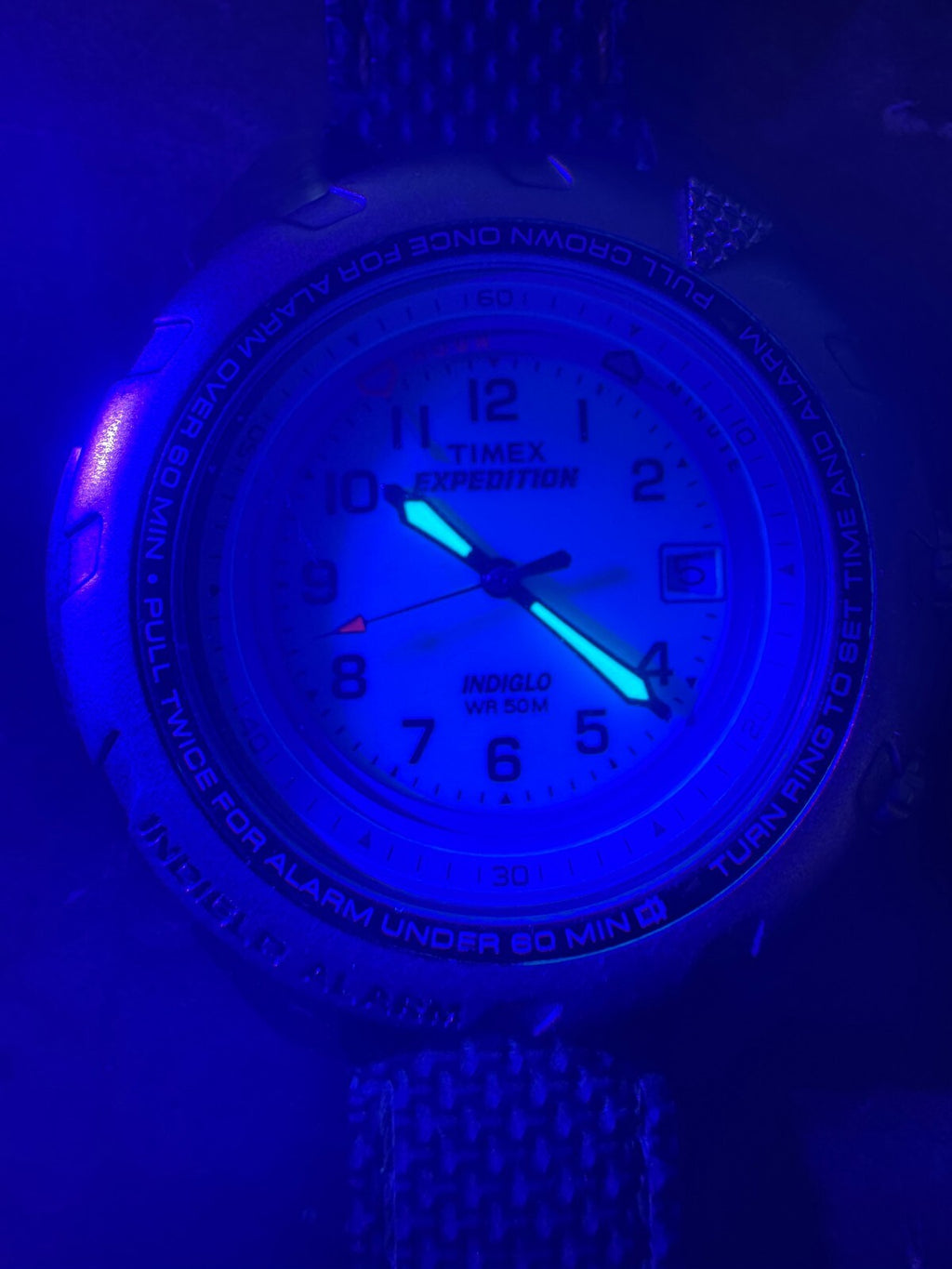 Timex Expedition Shenmue Edition Alarm Watch – Rare Video Game Collectible
