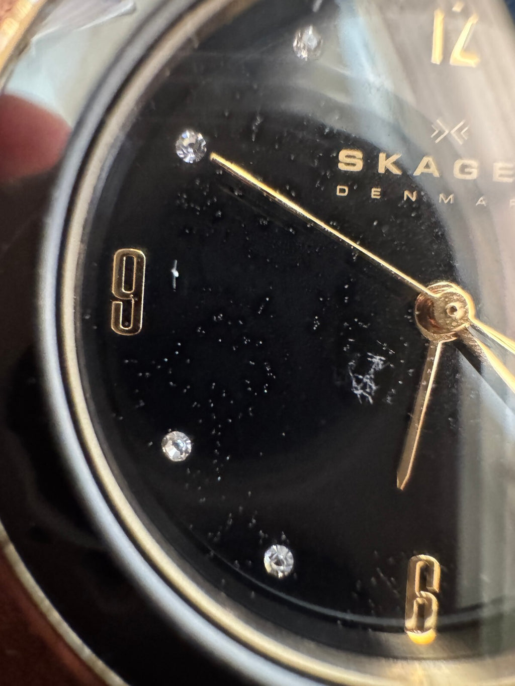 Skagen Denmark SKW2222 Women's Watch – Black Dial – Gold Tone – Crystal Accents